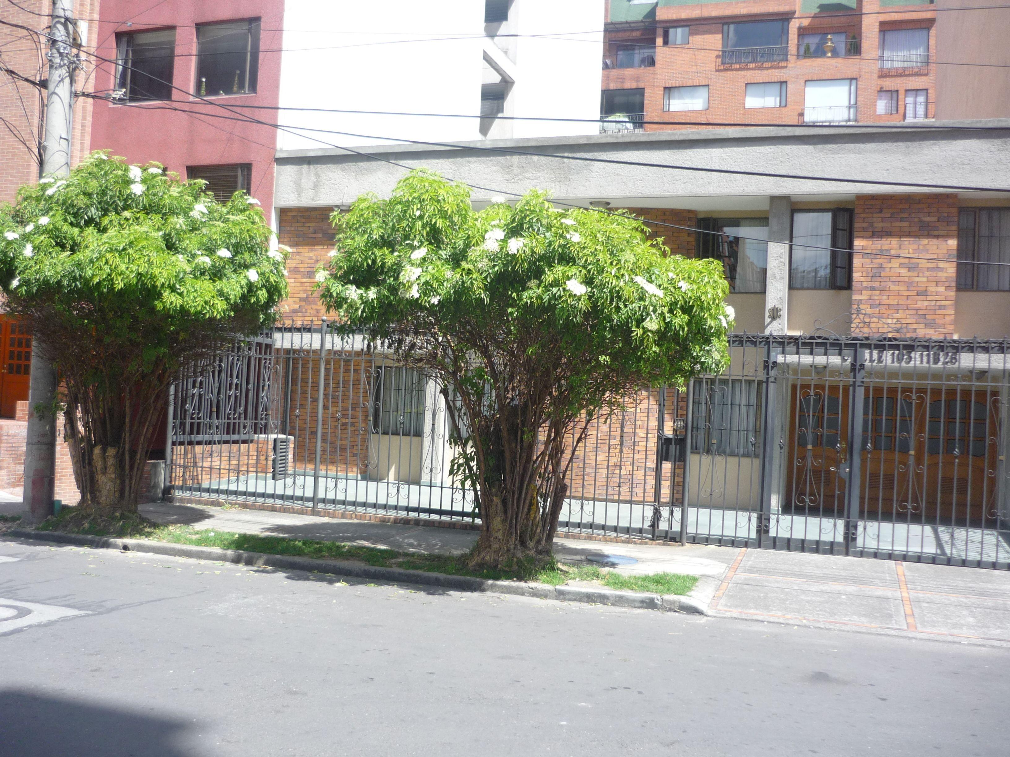 Hotel Casa La Riviera — Photos 2